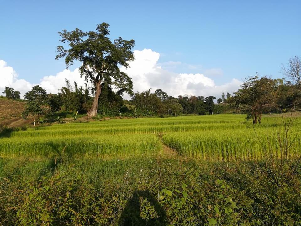 Hotel Shwe Nann Htike ピン・ウー・ルウィン エクステリア 写真