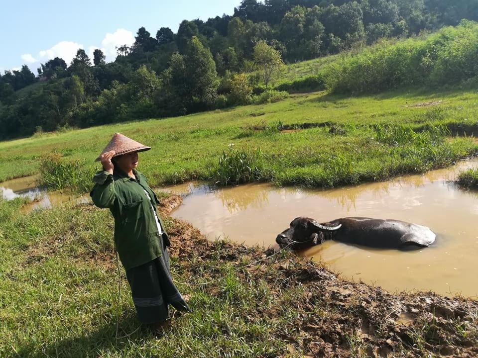 Hotel Shwe Nann Htike ピン・ウー・ルウィン エクステリア 写真